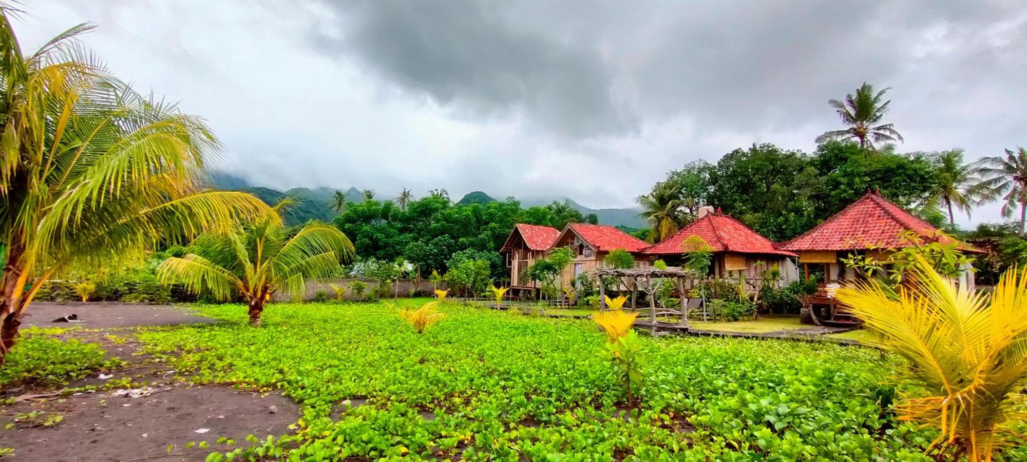 Yogi Beach Cabin Амед Экстерьер фото